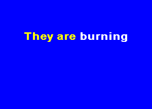 They are burning