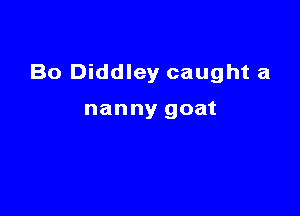 Bo Diddley caught a

nanny goat