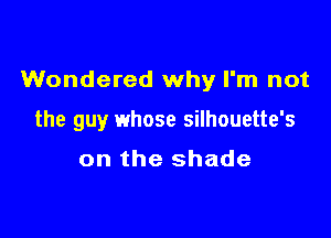 Wondered why I'm not

the guy whose silhouette's

on the shade