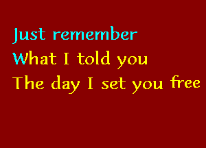 Just remember
What I told you

The day I set you free