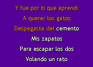 Y fue por ti que aprendl'
A querer los gatos
Despegaste del cemento

Mis zapatos

Para escapar los dos

Volando un rato l