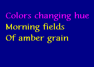 Morning fields

Of amber grain