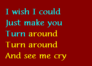 I wish I could
Just make you

Turn around
Turn around
And see me cry