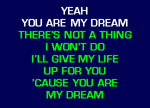 YEAH
YOU ARE MY DREAM
THERE'S NOT A THING
I WON'T DO
I'LL GIVE MY LIFE
UP FOR YOU
'CAUSE YOU ARE
MY DREAM