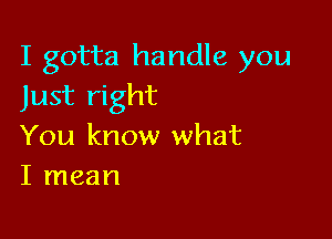 I gotta handle you
Just right

You know what
I mean