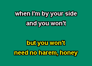 when I'm by your side

and you won't

but you won't
need no harem, honey