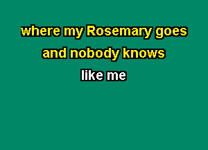 where my Rosemary goes

and nobody knows
like me
