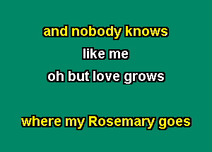 and nobody knows
like me
oh but love grows

where my Rosemary goes