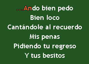 ...Ando bien pedo
Bien loco
Cantandole al recuerdo

Mis penas
Pidiendo tu regreso
Y tus besitos