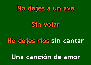 No dejes a un ave

Sin volar

No dejes rios sin cantar

Una cancic'm de amor