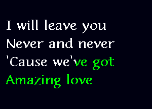 I will leave you
Never and never

'Cause we've got
Amazing love