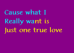 Cause what I
Really want is

Just one true love