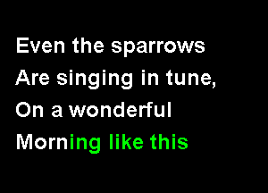 Even the sparrows
Are singing in tune,

On a wonderful
Morning like this