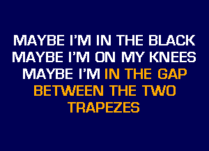 MAYBE I'M IN THE BLACK
MAYBE I'M ON MY KNEES
MAYBE I'M IN THE GAP
BETWEEN THE TWO
TRAPEZES