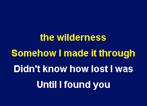 the wilderness

Somehow I made it through
Didn't know how lost I was
Until I found you