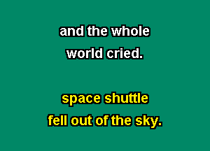 and the whole
world cried.

space shuttle
fell out of the sky.