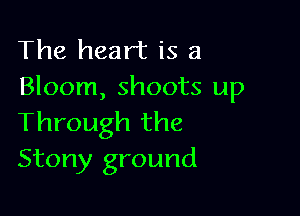 The heart is a
Bloom, shoots up

Through the
Stony ground