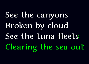 See the canyons
Broken by cloud
See the tuna fleets

Clearing the sea out