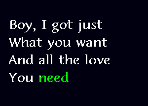 Boy, I got just
What you want

And all the love
You need