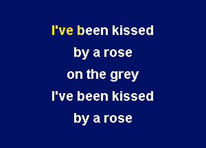 I've been kissed
by a rose

on the grey

I've been kissed
by a rose