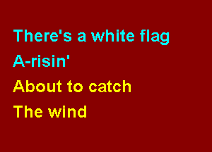 There's a white flag
A-risin'

About to catch
The wind