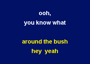 ooh,
you know what

around the bush

hey yeah