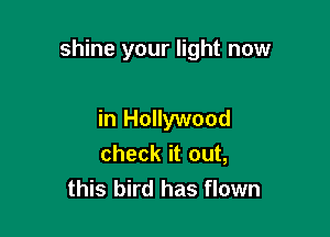 shine your light now

in Hollywood
check it out,
this bird has flown