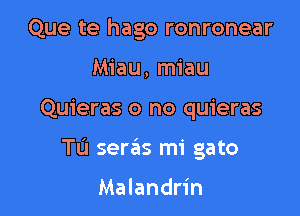 Que te hago ronronear
Miau, miau

Quieras o no quieras

Tu seras mi gato

Malandrin