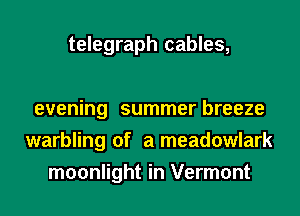 telegraph cables,

evening summer breeze
warbling of a meadowlark
moonlight in Vermont