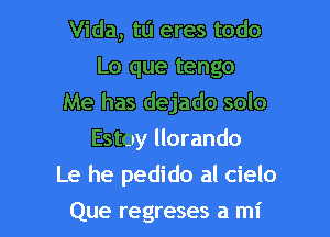 Vida, t0 eres todo
Lo que tengo
Me has dejado solo
Estoy llorando

Le he pedido al cielo

Que regreses a mi l