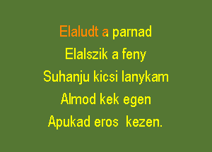 Elaludt a parnad
Elalszik a feny

Suhanju kicsi Ianykam

Almod kek egen
Apukad eros kezen.