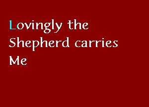 Lovingly the
Shepherd carries

Me