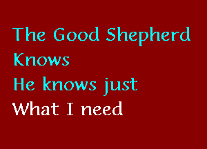 The Good Shepherd
Knows

He knows just
What I need