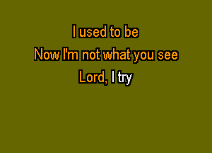 I used to be

Now I'm not what you see

Lord, I try