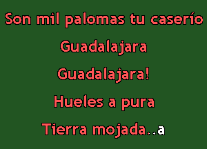 Son mil palomas tu caserio
Guadalajara

Guadalajara!

Hueles a pura

Tierra mojada. .a