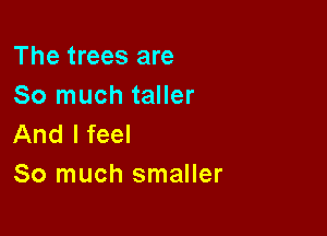 The trees are
So much taller

And I feel
So much smaller