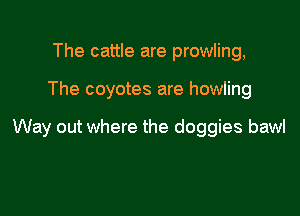 The cattle are prowling,

The coyotes are howling

Way out where the doggies bawl