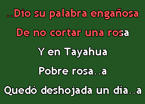 ..Dio su palabra engariosa
De no cortar una rosa
Y en Tayahua
Pobre rosa..a

Quedc') deshojada un dia..a