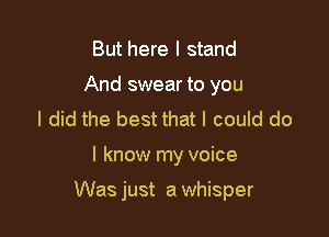 But here I stand
And swear to you
I did the best that I could do

I know my voice

Was just a whisper