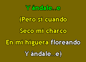 Y andale..e
(Pero si cuando

Seco mi charco

En mi higuera floreando

Y andale..e)