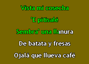 Vista mi cosecha
'E pitisale'
Sembra' una llanura

De batata y fresas

Ojala que llueva cafe'