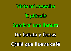 Vista mi cosecha
'E pitisale'
Sembra' una llanura

De batata y fresas

Ojala que llueva cafe'