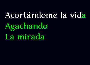 Acortandome la Vida
Agachando

La mirada