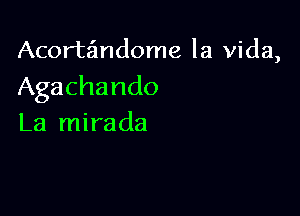 Acorta'mdome la Vida,
Agachando

La mirada