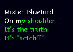 Mister Bluebird
On my shoulder

It's the truth
It's actch'll
