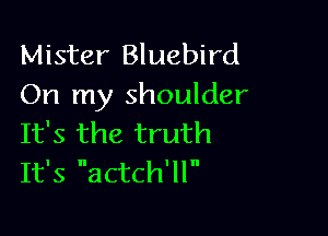 Mister Bluebird
On my shoulder

It's the truth
It's actch'll