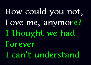 How could you not,
Love me, anymore?
I thought we had
Forever

I can't understand