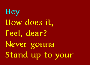 Hey
How does it,

Feel, dear?
Never gonna
Stand up to your