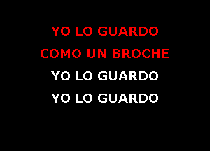 Y0 L0 GUARDO
COMO UN BROCHE

Y0 LO GUARDO
Y0 LO GUARDO