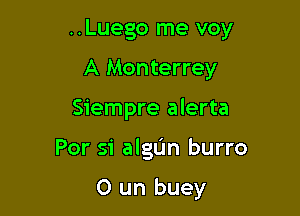 ..Luego me voy
A Monterrey
Siempre alerta

Per 51' algL'm burro

0 un buey